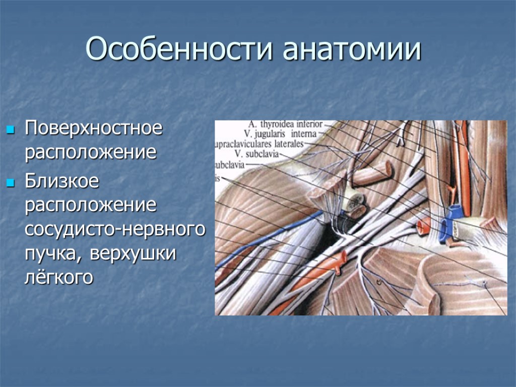 Особенности анатомии Поверхностное расположение Близкое расположение сосудисто-нервного пучка, верхушки лёгкого